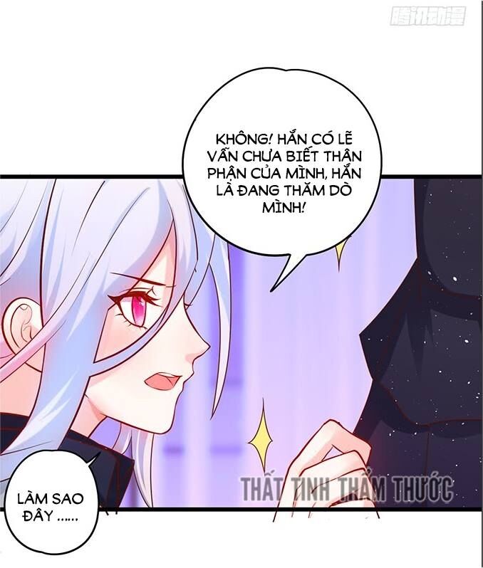 Hắc Đạo Đáng Yêu Chapter 33 - Trang 2