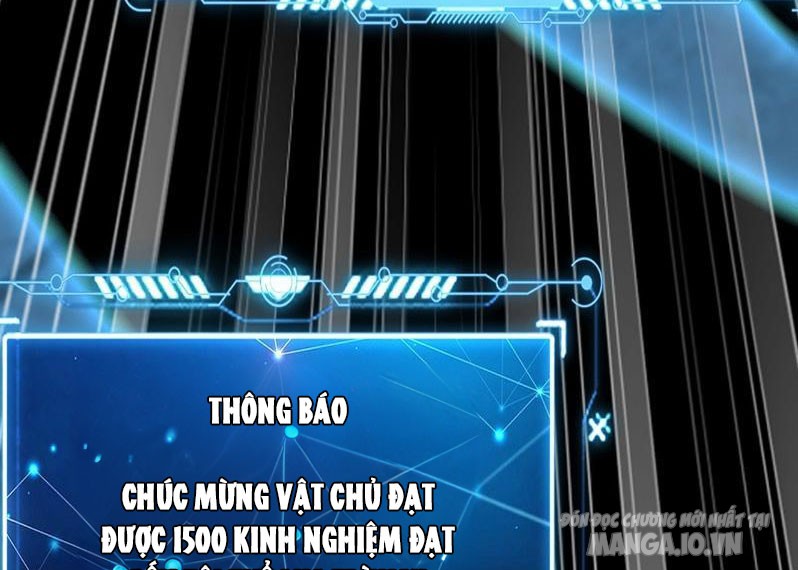 Ta Có Tốc Độ Đánh Nhanh Gấp Trăm Vạn Lần Chapter 3 - Trang 2