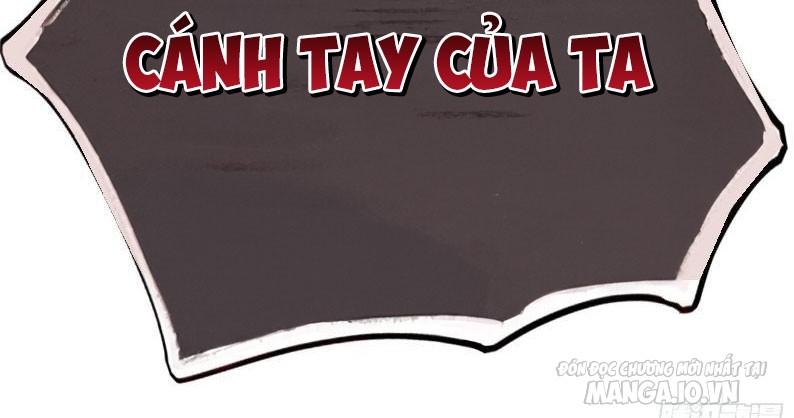 Ta Có Tốc Độ Đánh Nhanh Gấp Trăm Vạn Lần Chapter 2 - Trang 2