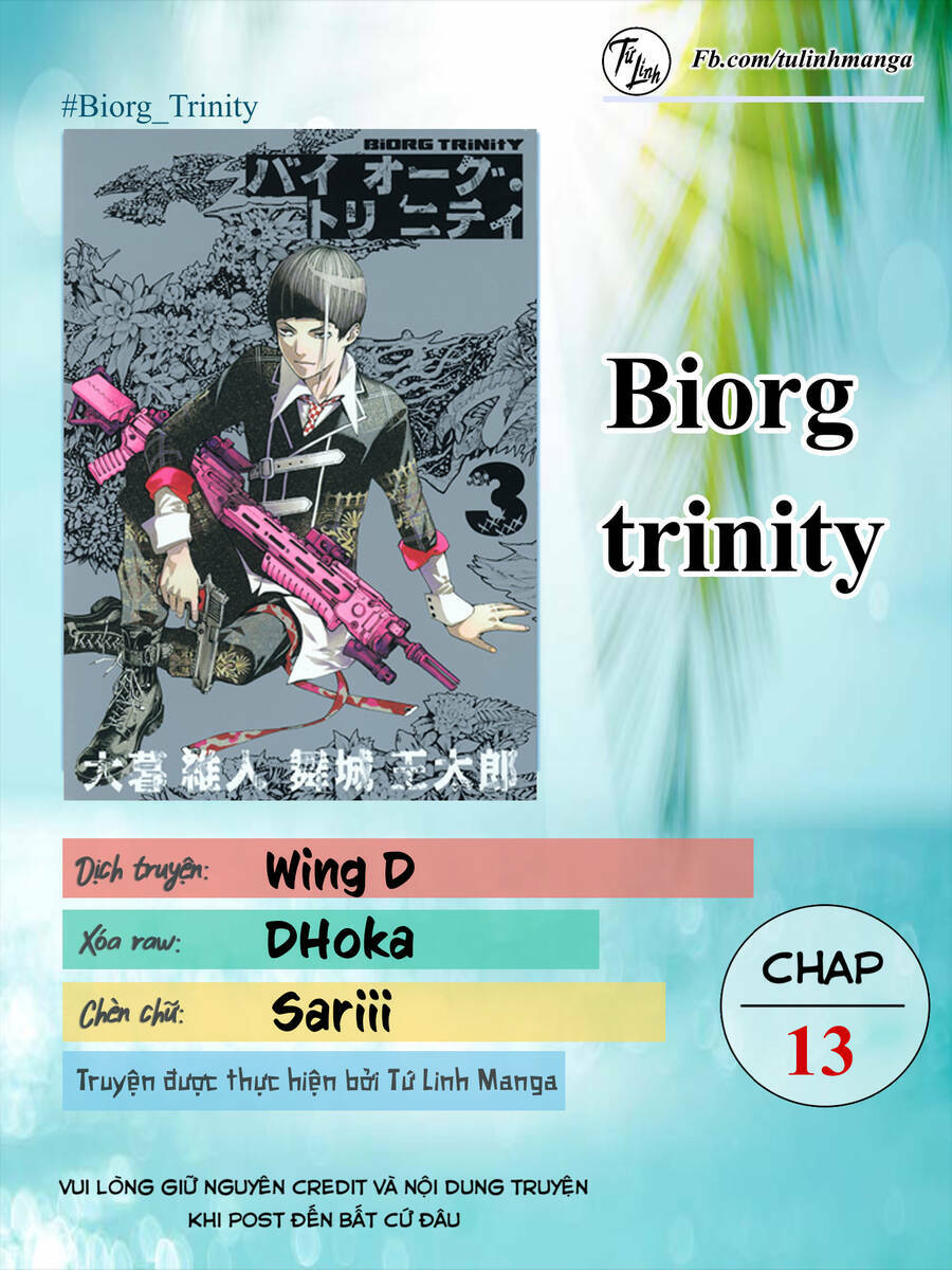 Biorg Trinity Chapter 13 - Trang 2