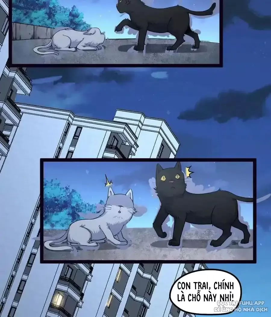 Ngài Hoàn Toàn Không Tiết Lộ Sao? Chapter 18 - Trang 2