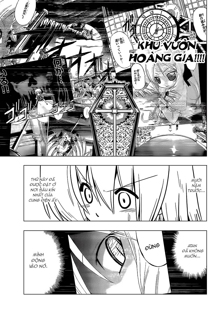 Chàng Quản Gia Chapter 369 - Trang 2