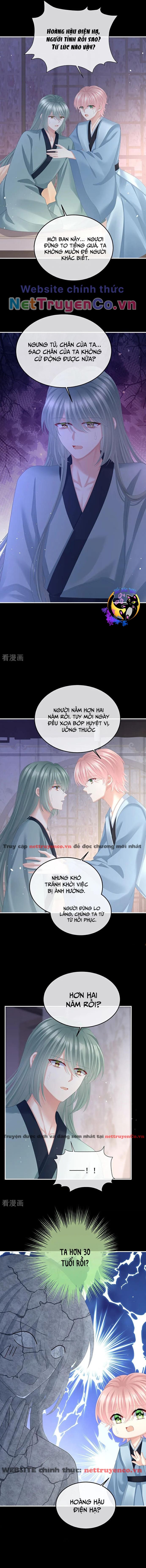 Hậu Cung Của Nữ Đế – Mùa 2 Chapter 42 - Trang 2