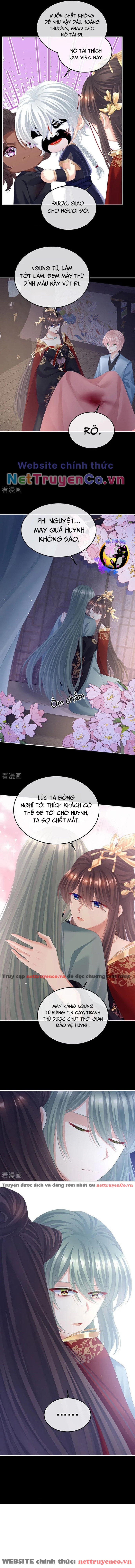 Hậu Cung Của Nữ Đế – Mùa 2 Chapter 41 - Trang 2