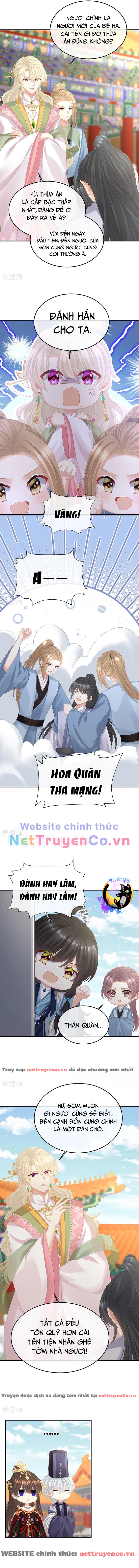 Hậu Cung Của Nữ Đế – Mùa 2 Chapter 35 - Trang 2