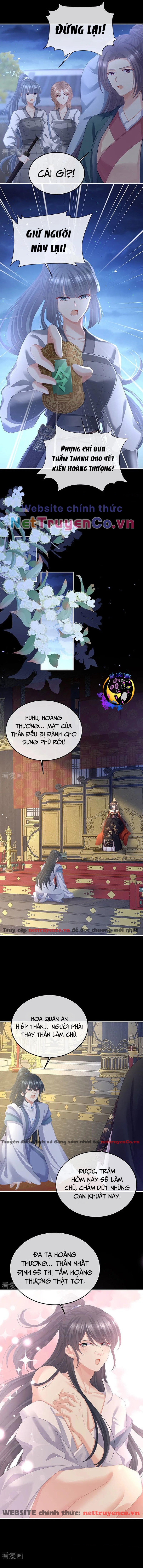 Hậu Cung Của Nữ Đế – Mùa 2 Chapter 35 - Trang 2