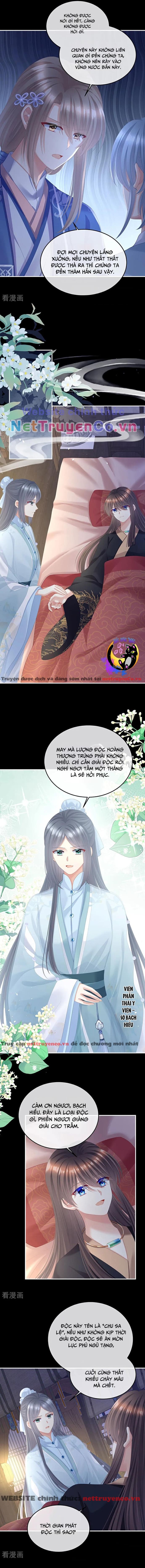 Hậu Cung Của Nữ Đế – Mùa 2 Chapter 25 - Trang 2