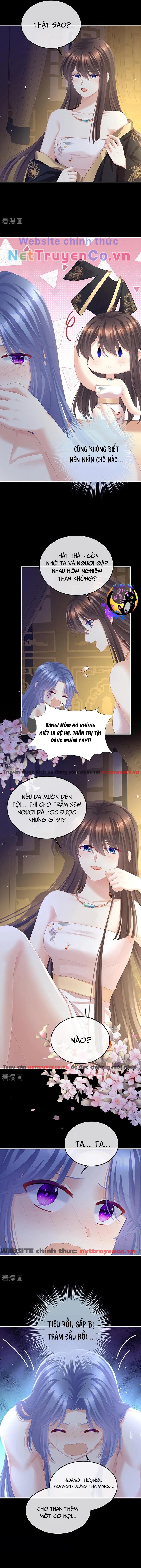 Hậu Cung Của Nữ Đế – Mùa 2 Chapter 16 - Trang 2