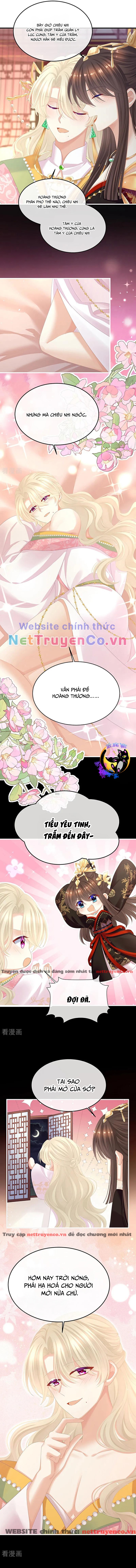 Hậu Cung Của Nữ Đế – Mùa 2 Chapter 9 - Trang 2