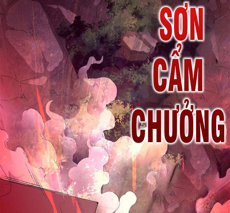 Vô Tận Thôn Phệ Chapter 12 - Trang 2