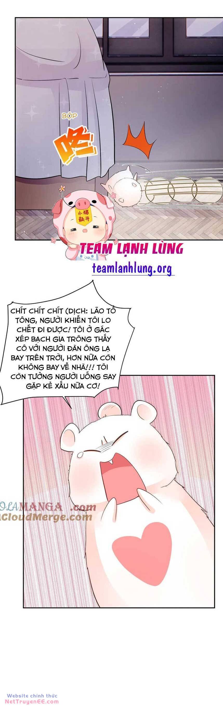 Lão Tổ Tông Vừa Xinh Vừa Ngầu Chapter 81 - Trang 2