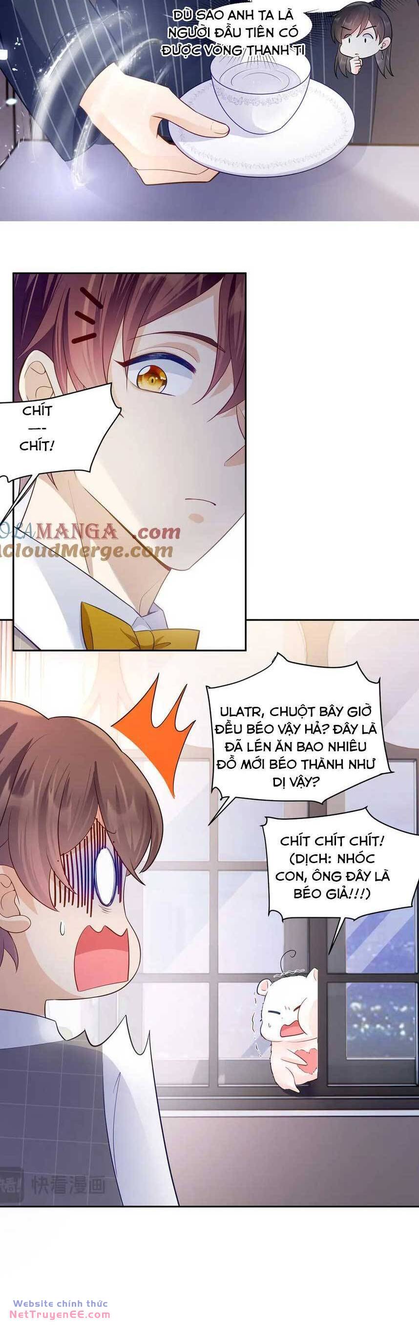 Lão Tổ Tông Vừa Xinh Vừa Ngầu Chapter 81 - Trang 2