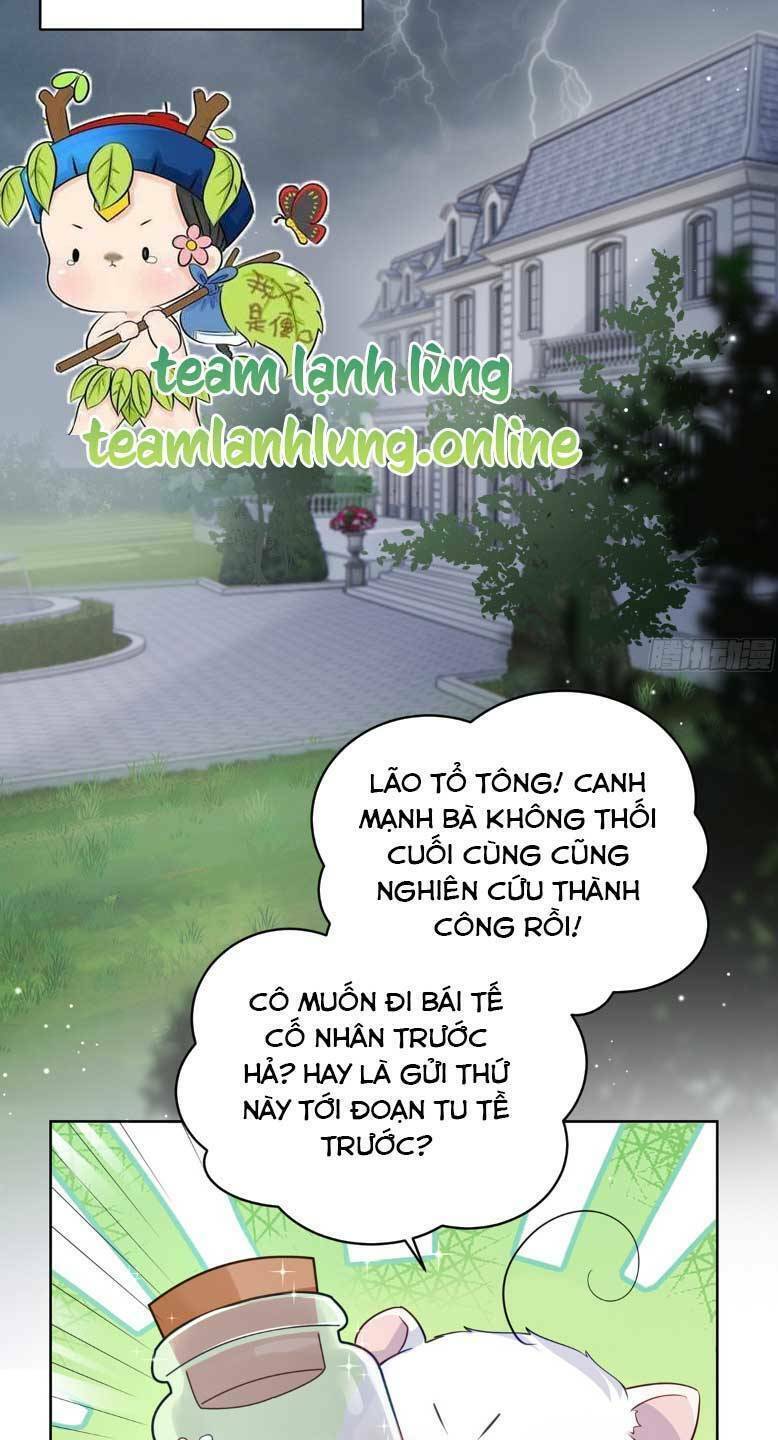 Lão Tổ Tông Vừa Xinh Vừa Ngầu Chapter 75 - Trang 2