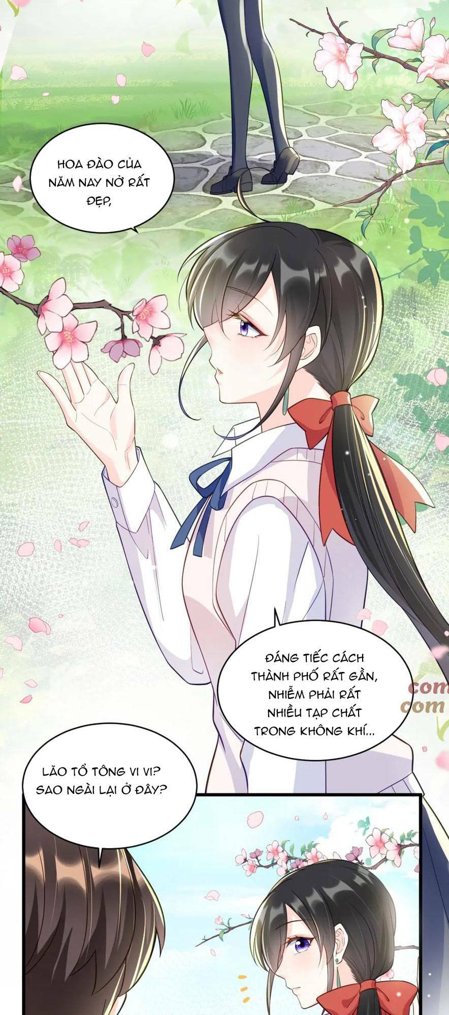 Lão Tổ Tông Vừa Xinh Vừa Ngầu Chapter 31 - Trang 2