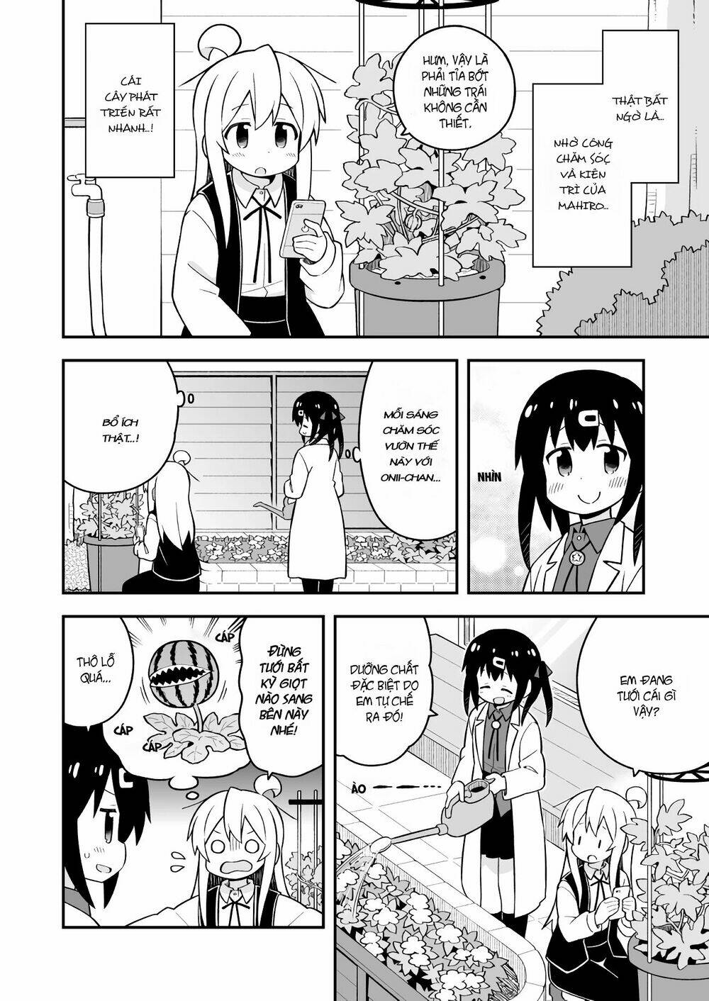 Onii-Chan Wa Oshima! Chapter 52 - Trang 2