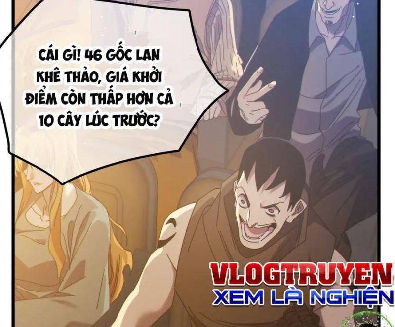 Vô Địch Bị Động Tạo Ra Tấn Sát Thương Chapter 31 - Trang 2