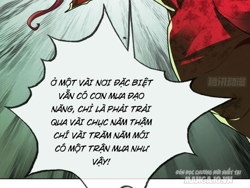 Ngủ Say Vạn Cổ: Xuất Thế Quét Ngang Chư Thiên Chapter 5 - Trang 2