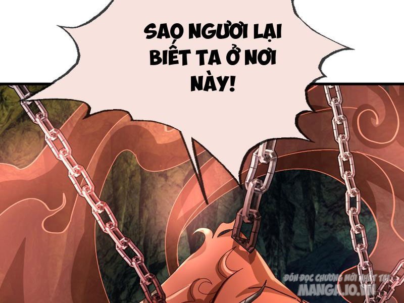 Ngủ Say Vạn Cổ: Xuất Thế Quét Ngang Chư Thiên Chapter 4 - Trang 2