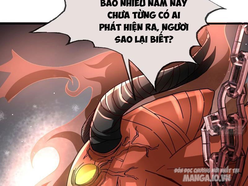 Ngủ Say Vạn Cổ: Xuất Thế Quét Ngang Chư Thiên Chapter 4 - Trang 2