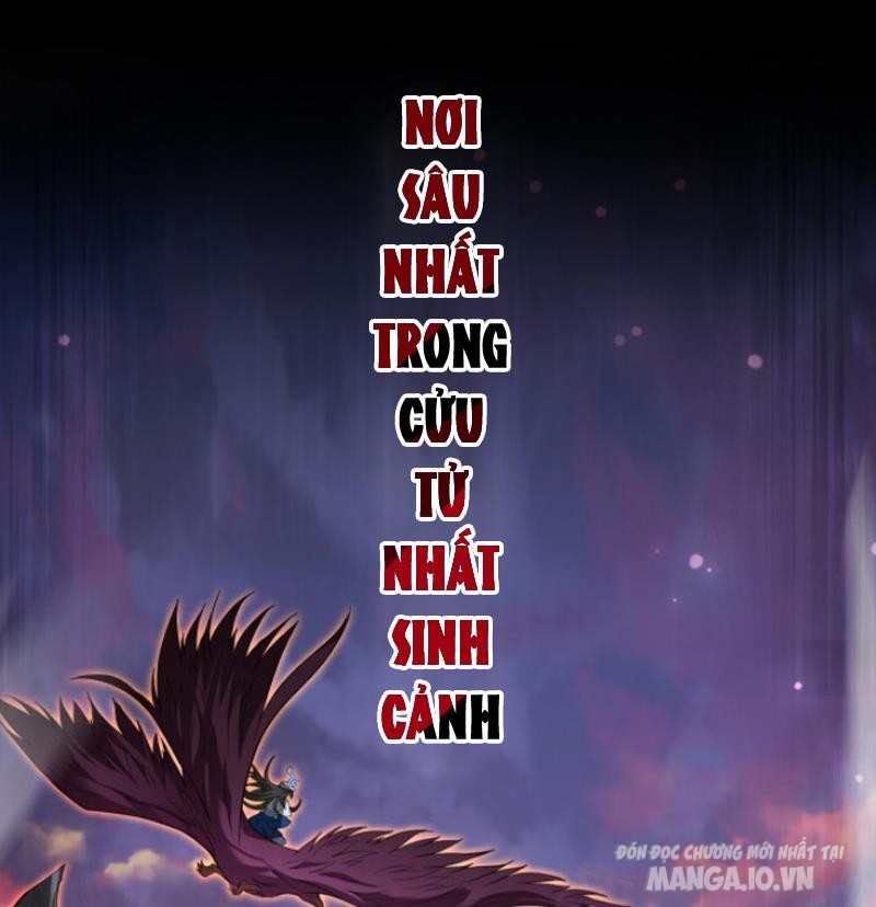 Ẩn Cư Mười Vạn Năm, Đời Sau Mời Ta Rời Núi Chapter 1 - Trang 2