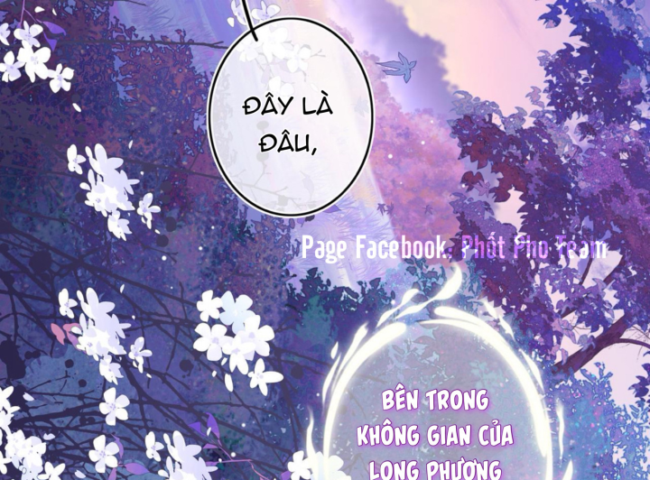 Thần Y Hoàng Hậu Chapter 0 - Trang 2