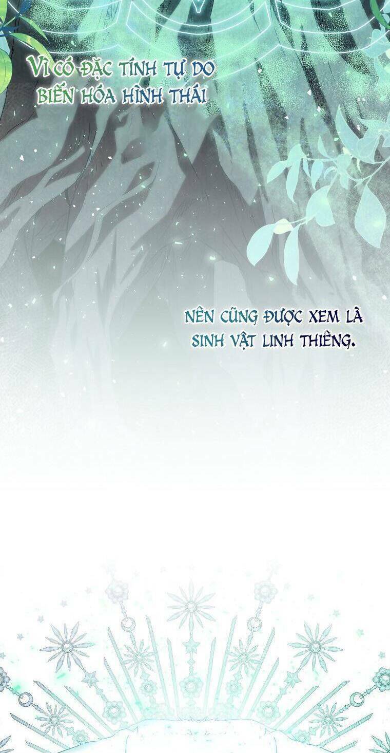 Tôi Là Thánh Nữ Giả Mạo Nhưng Các Thần Lại Ám Ảnh Tôi Chapter 54 - Trang 2