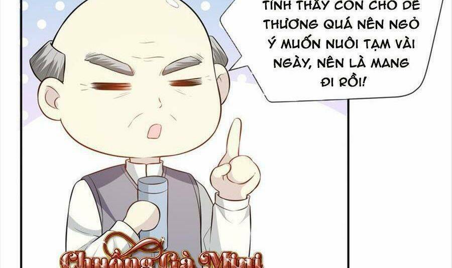 Khiêu Khích Xuyên Biên Giới Chapter 113 - Trang 2