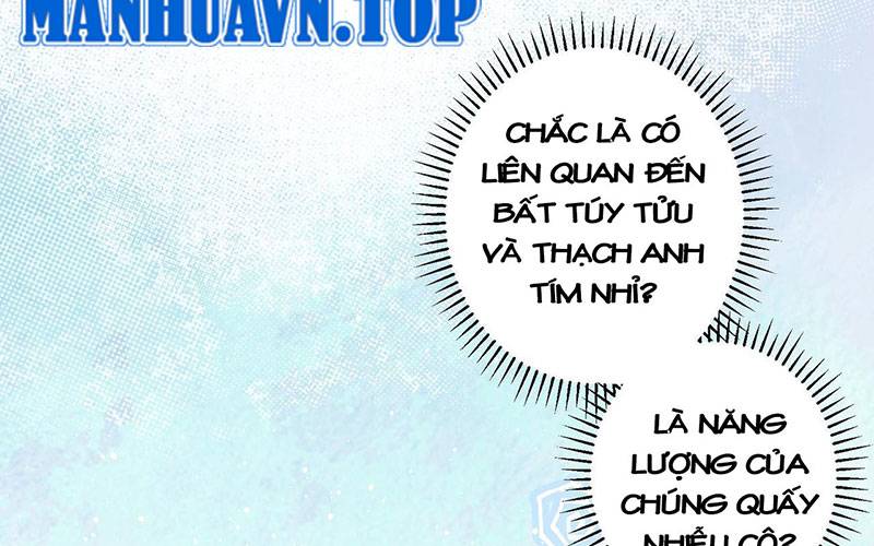 Ta Có Thể Thấy Tỉ Lệ Thành Công Chapter 201 - Trang 2