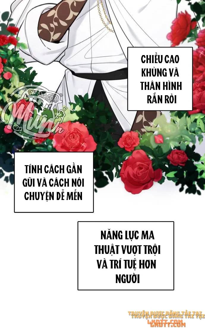 Nhật Ký Tuần Trăng Mật Của Phù Thủy Và Rồng Chapter 31 - Trang 2