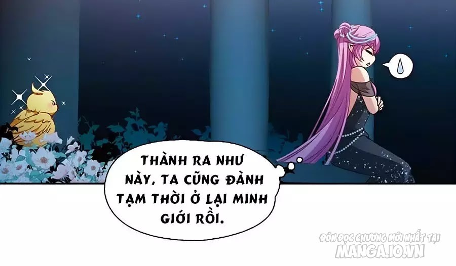 Tầm Trảo Tiền Thế Chi Lữ Chapter 212.3 - Trang 2