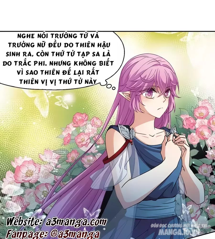 Tầm Trảo Tiền Thế Chi Lữ Chapter 209.3 - Trang 2