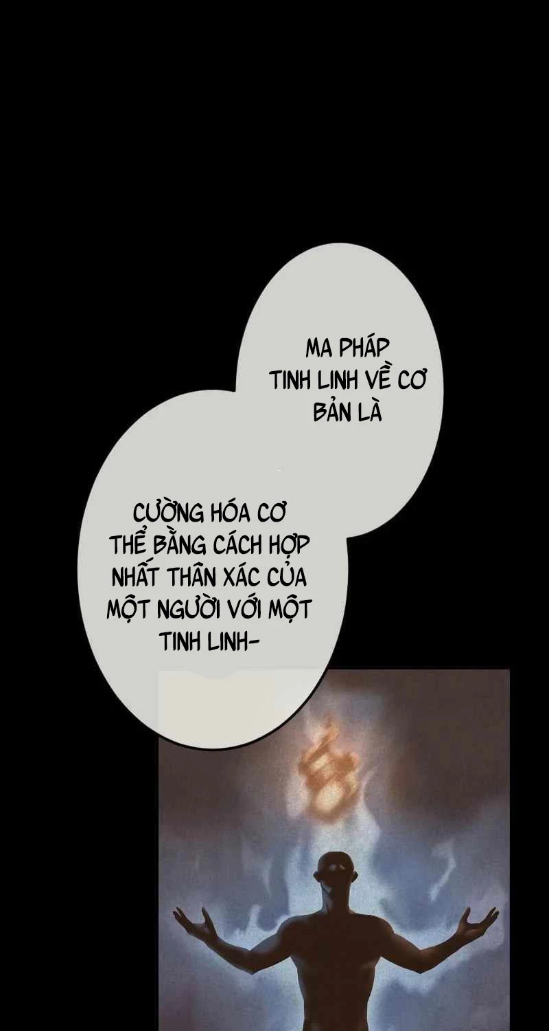 Pháp Sư Cận Chiến Hồi Quy Chapter 28 - Trang 2