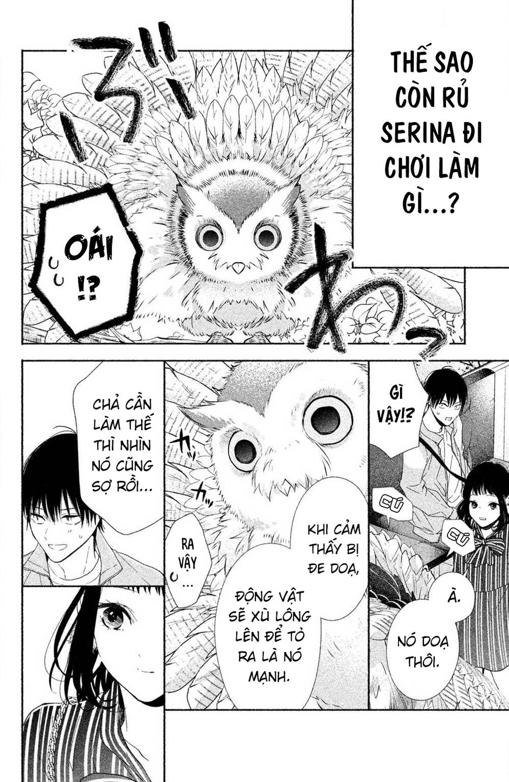 Kamiki Kyoudai Okotowari Little Brother Chapter 1 - Trang 2