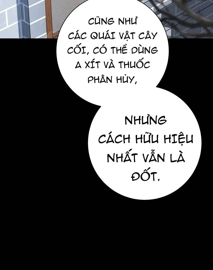 Cốt Binh Trở Lại Chapter 175 - Trang 2