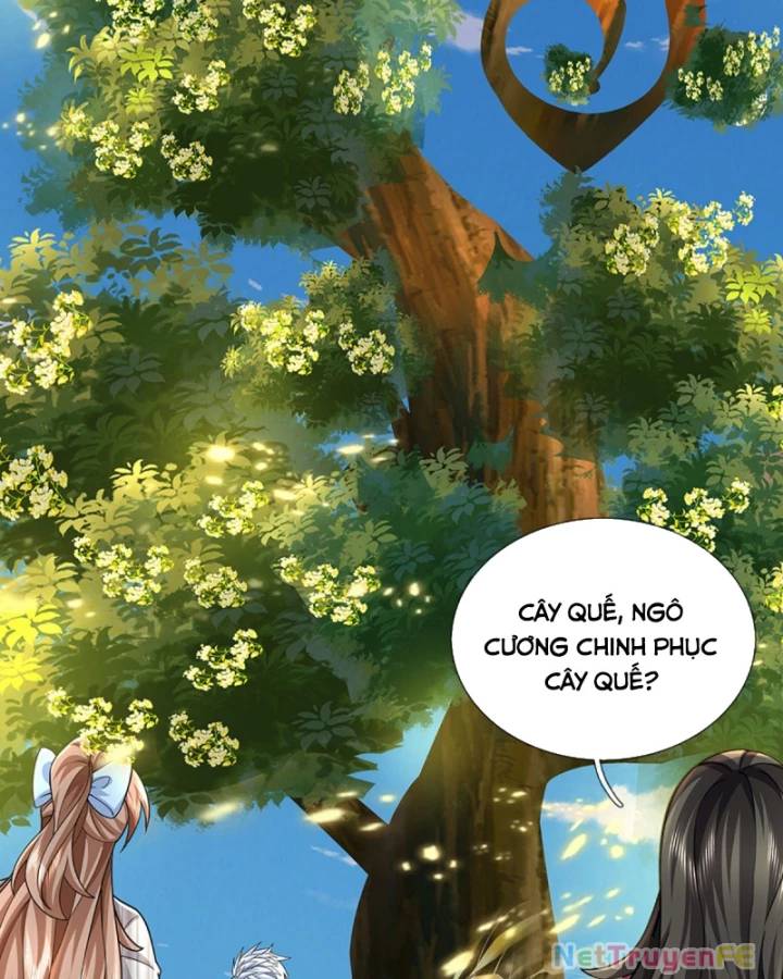 Luyện Thể Trăm Nghìn Tầng Chapter 387 - Trang 2