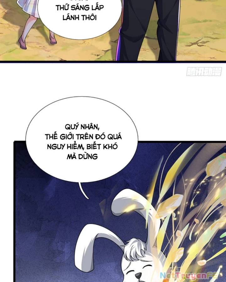 Luyện Thể Trăm Nghìn Tầng Chapter 387 - Trang 2