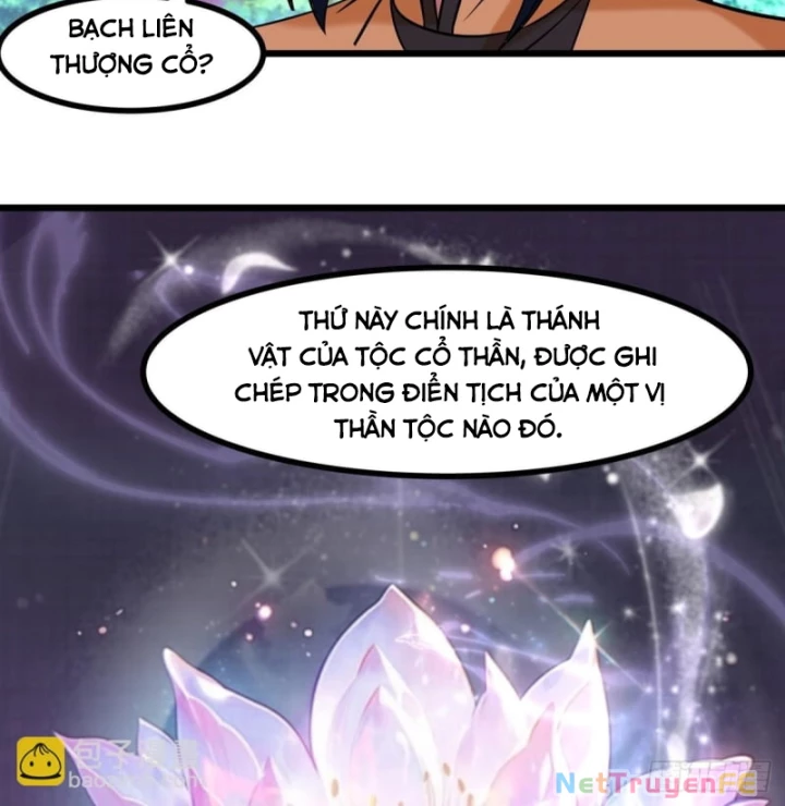 Hỗn Độn Đan Thần Chapter 506 - Trang 2