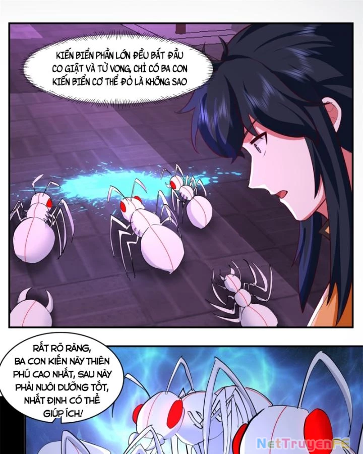 Hỗn Độn Đan Thần Chapter 450 - Trang 2