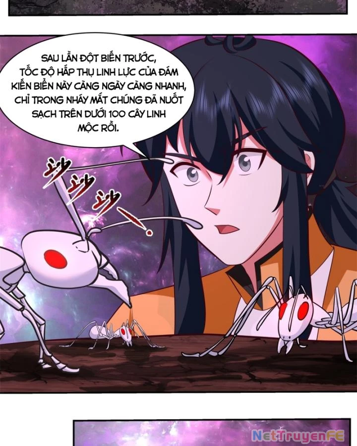 Hỗn Độn Đan Thần Chapter 439 - Trang 2