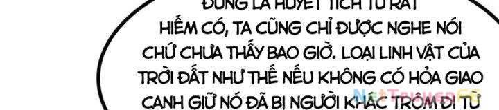 Hỗn Độn Đan Thần Chapter 364 - Trang 2