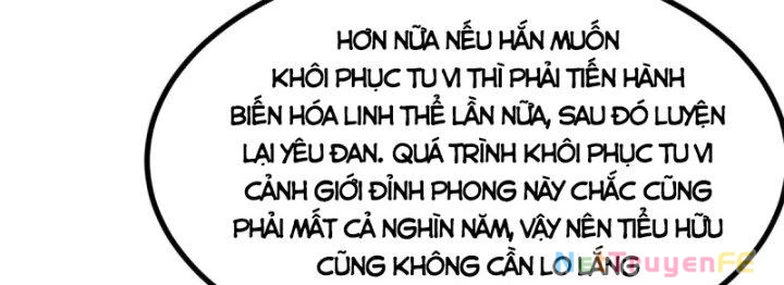 Hỗn Độn Đan Thần Chapter 362 - Trang 2