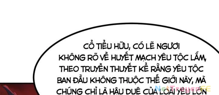 Hỗn Độn Đan Thần Chapter 361 - Trang 2