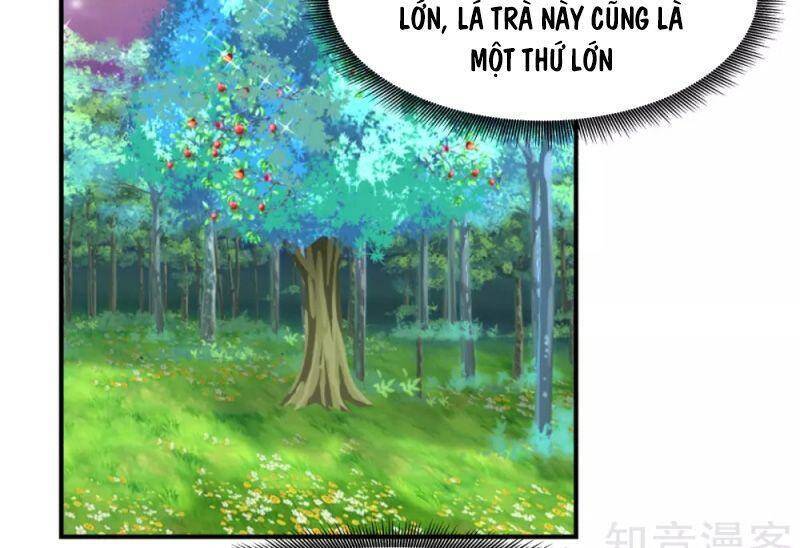 Hỗn Độn Đan Thần Chapter 156 - Trang 2