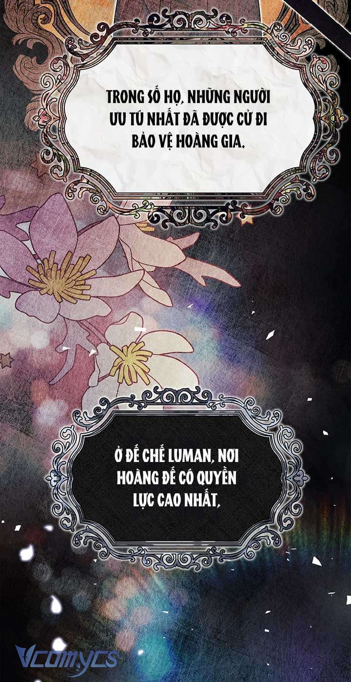 Có Nhiều Nam Phụ Quá Rồi Chapter 5 - Trang 2