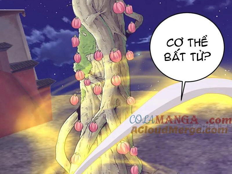 Tu Tiên Giả Cuối Cùng Chapter 98 - Trang 2