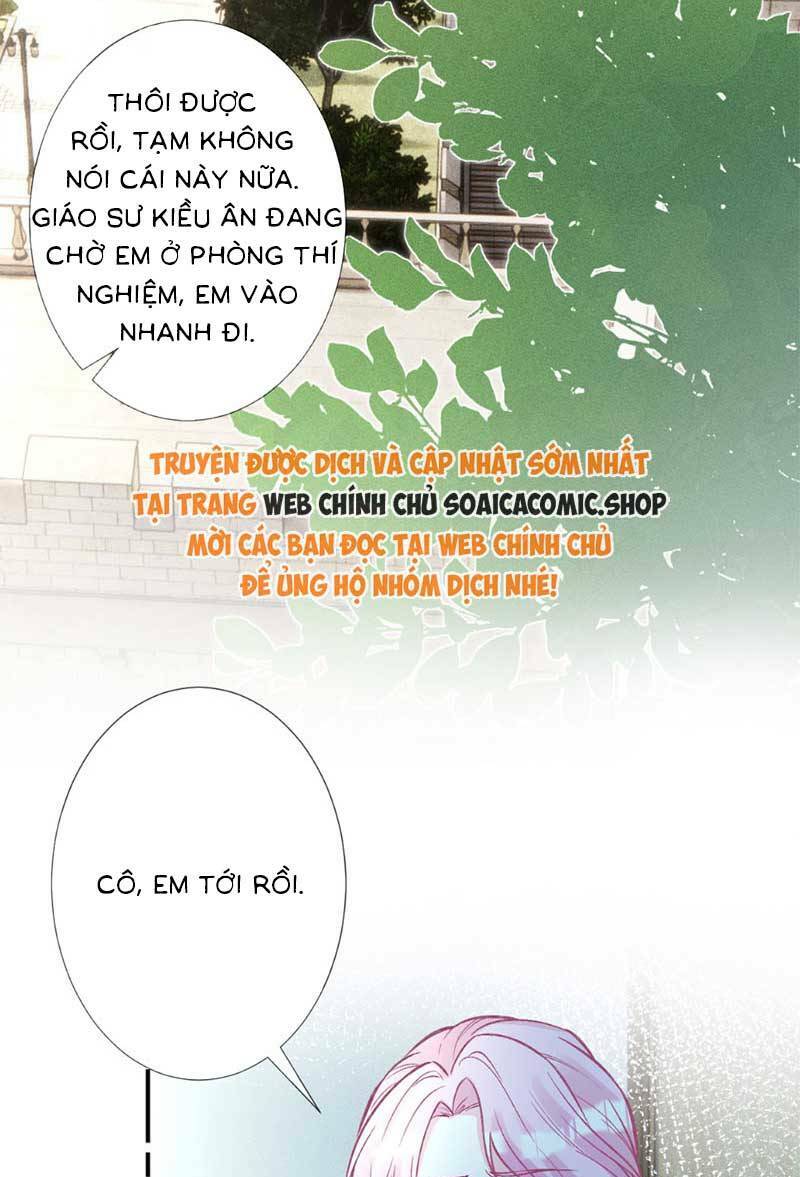 Ôm Khẩn Tiểu Mã Giáp Của Tôi Chapter 299 - Trang 2