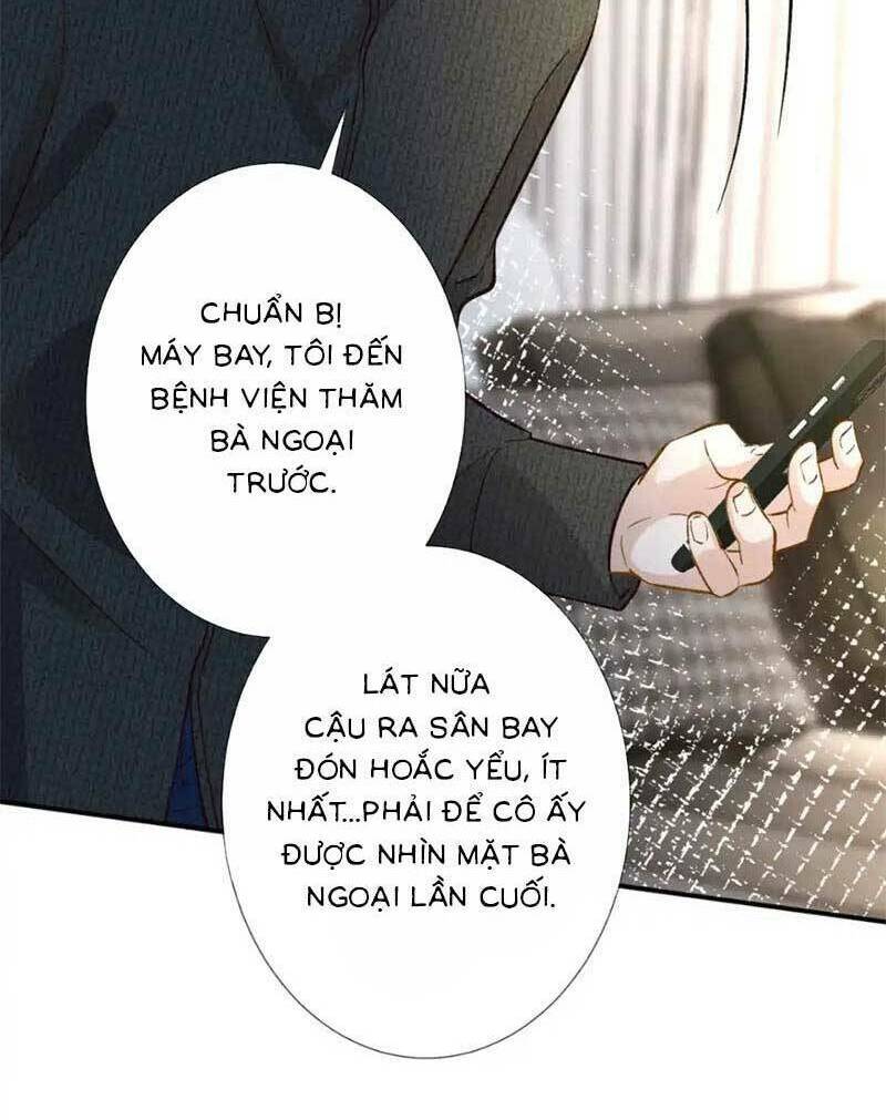 Ôm Khẩn Tiểu Mã Giáp Của Tôi Chapter 281 - Trang 2