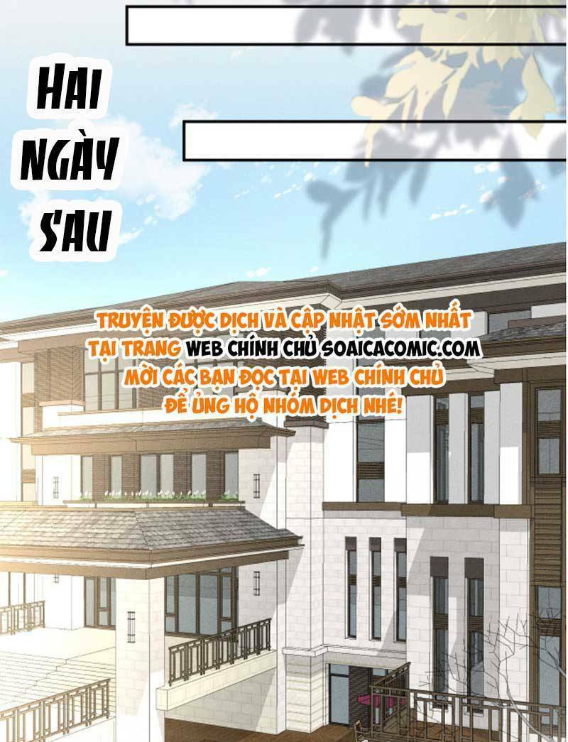 Ôm Khẩn Tiểu Mã Giáp Của Tôi Chapter 217 - Trang 2