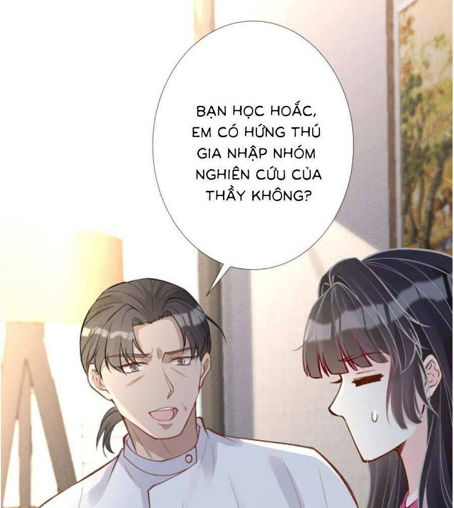 Ôm Khẩn Tiểu Mã Giáp Của Tôi Chapter 198 - Trang 2