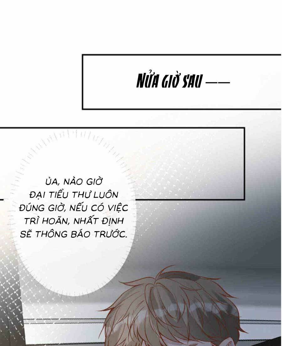 Ôm Khẩn Tiểu Mã Giáp Của Tôi Chapter 194 - Trang 2